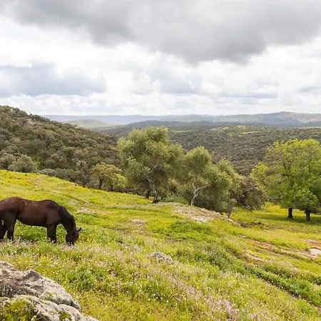 La Arborea * Higuera De La Sierra (Huelva)