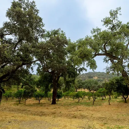 La Arborea Higuera De La Sierra (Huelva)